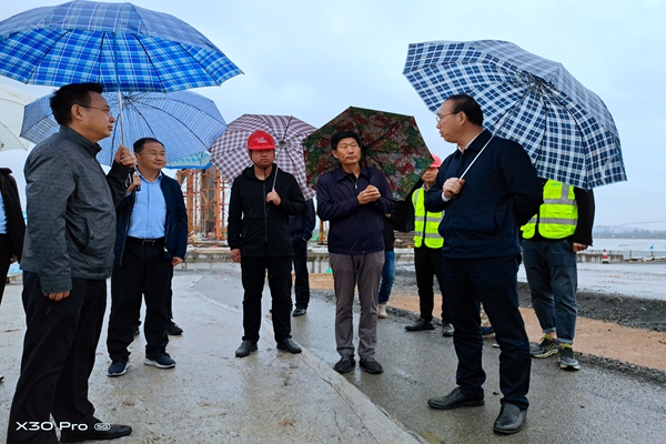 1603070257767319.jpg 滁州市委書(shū)記赴滁陽(yáng)路橋調(diào)研 (1).jpg