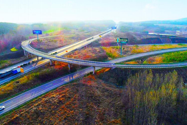 1612840693690876.jpg 8.jpg