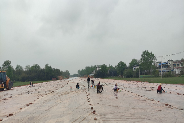 1638281617124561.png 3圖片2.png