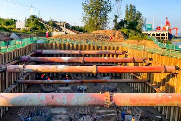 1666176265142684.png efdfa9fe-60b3-4c23-bbf5-141286362cad.png